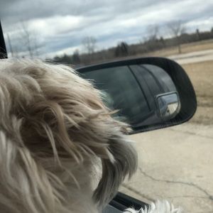 Meet your Posher, Brad